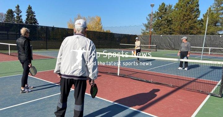 Edmonton’s tennis community concerned over potential loss of courts to pickleball popularity – Edmonton